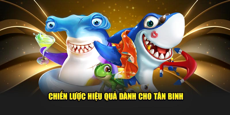 Chiến lược hiệu quả dành cho tân binh