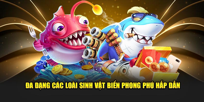 Đa dạng các loài sinh vật biển phong phú hấp dẫn