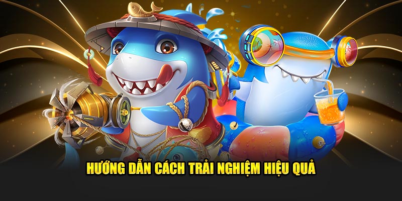 Hướng dẫn cách trải nghiệm hiệu quả khi tham gia