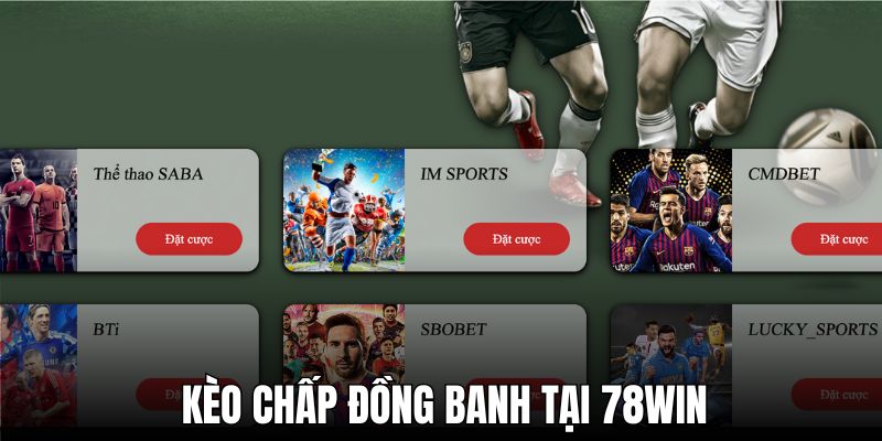 Có đến 10 sảnh thể thao tại 78win để bạn trải nghiệm kèo chấp đồng banh